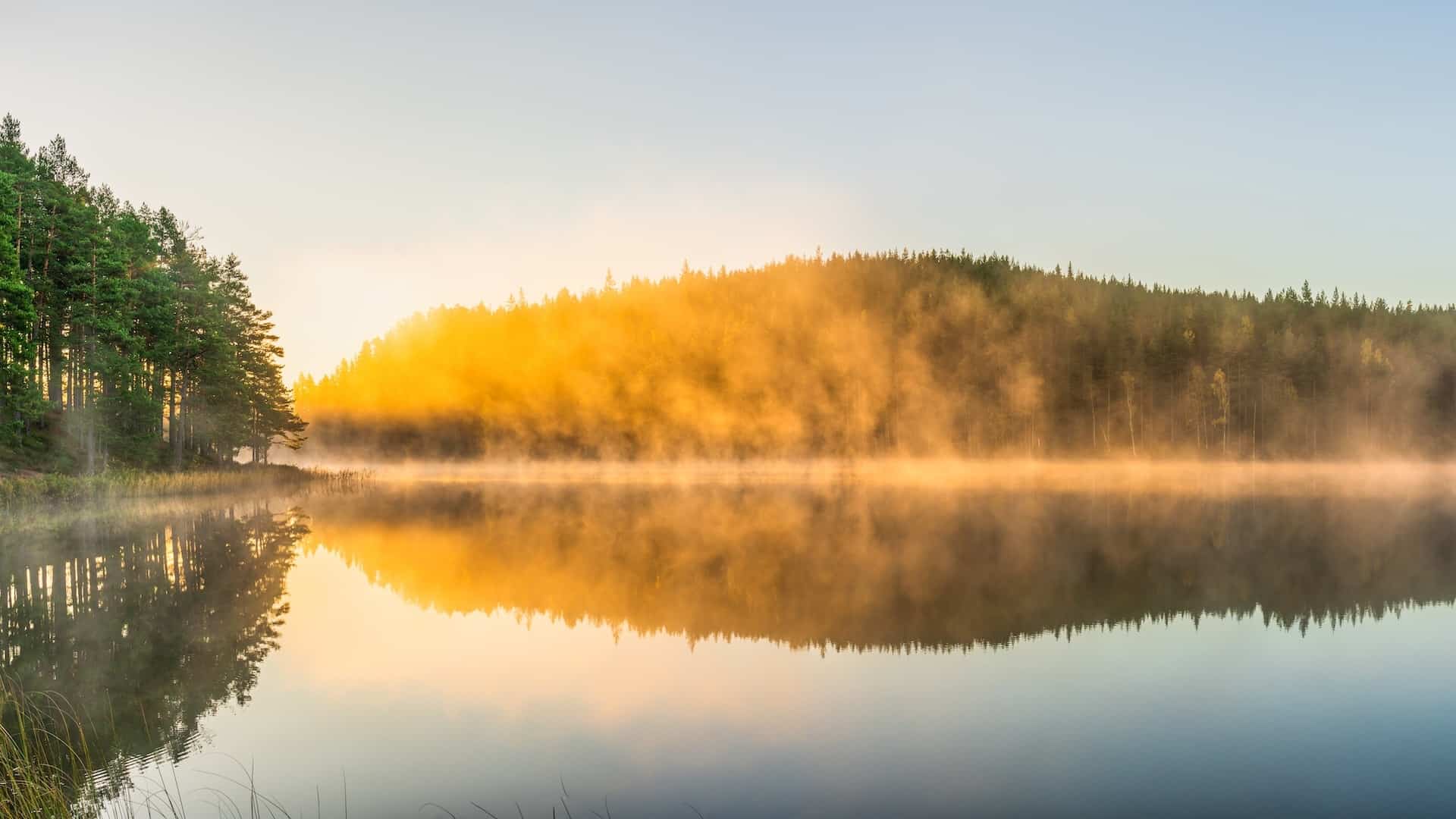 Scandinavian landscape reflecting Rudholm Group's heritage and values
